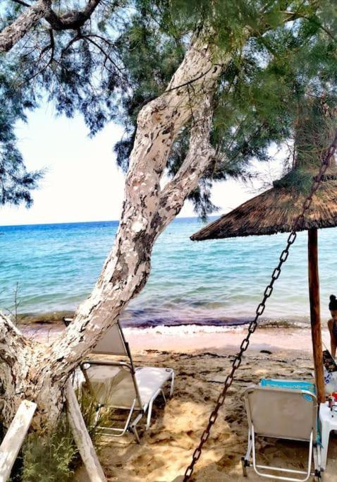 Apartment With 3 Rooms Just 1 Min From The Beach And Free Public Parking Peraía エクステリア 写真